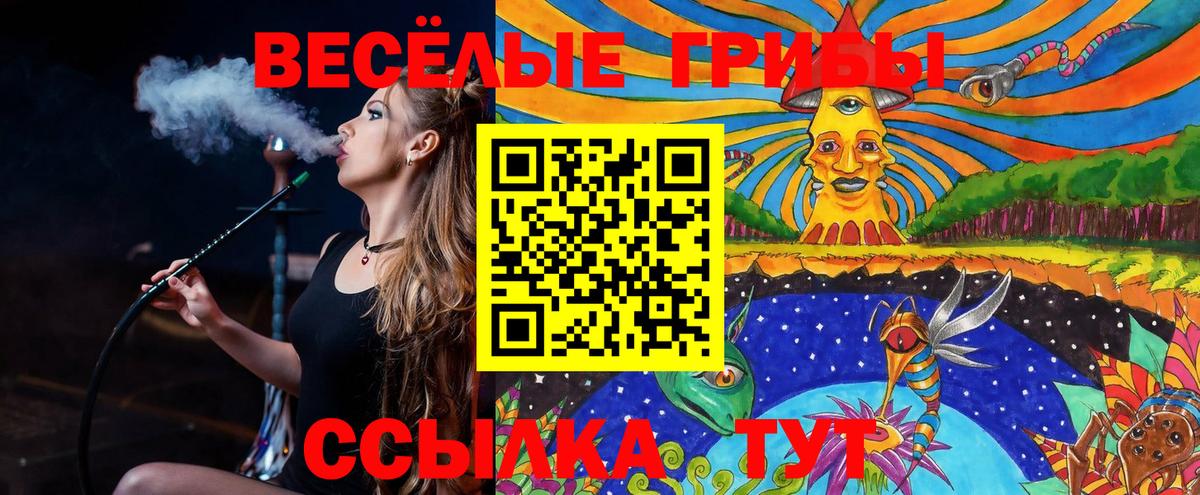 Галлюциногенные грибы прущие грибы Советская Гавань