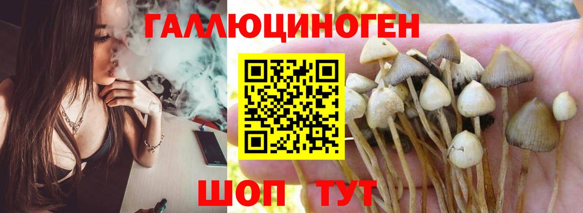 Советская Гавань  Галлюциногенные грибы MAGIC MUSHROOMS  Галлюциногенные грибы Psilocybine cubensis  Вход с VPN 